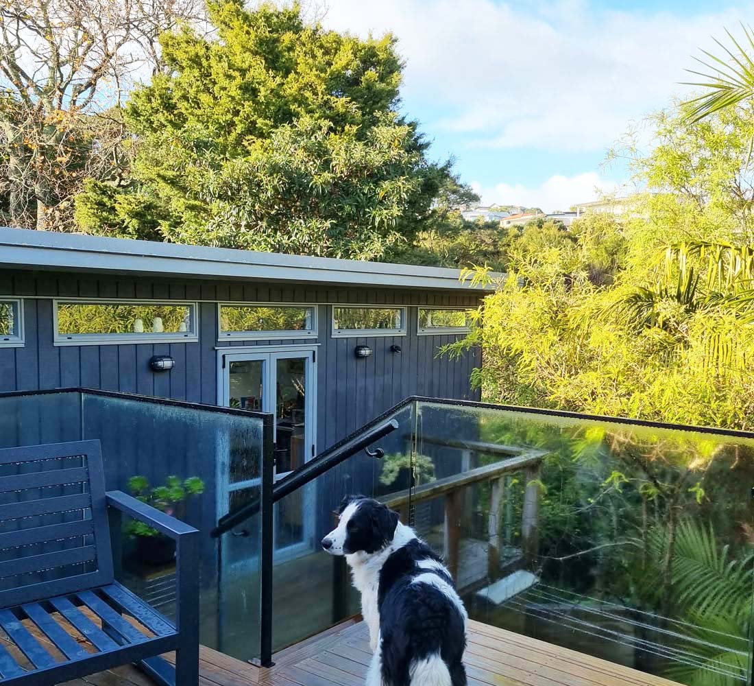 View of Kirsty Black Artist Studio overlooking in the bush in Maraetai, Auckland